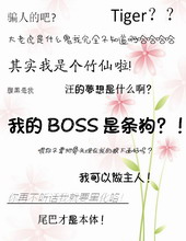 �ҵ�BOSS������