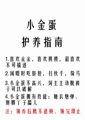 С�𵰻���ָ��