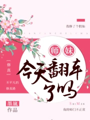 ʦ�ý��췭������
